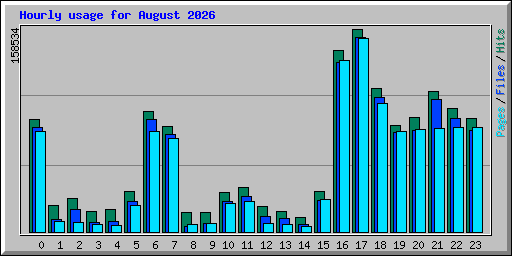 Hourly usage for August 2026